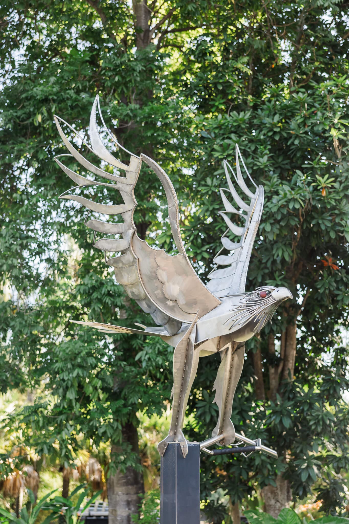 Metal eagle statue outside the Rockhampton Zoo.