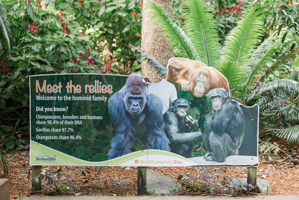 Welcome to the Chimpanzees sign at the Rockhampton Zoo.