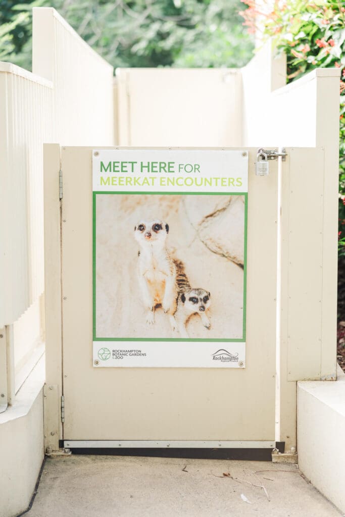 Meet here sign for the meerkat encounters at the Rockhampton Zoo.