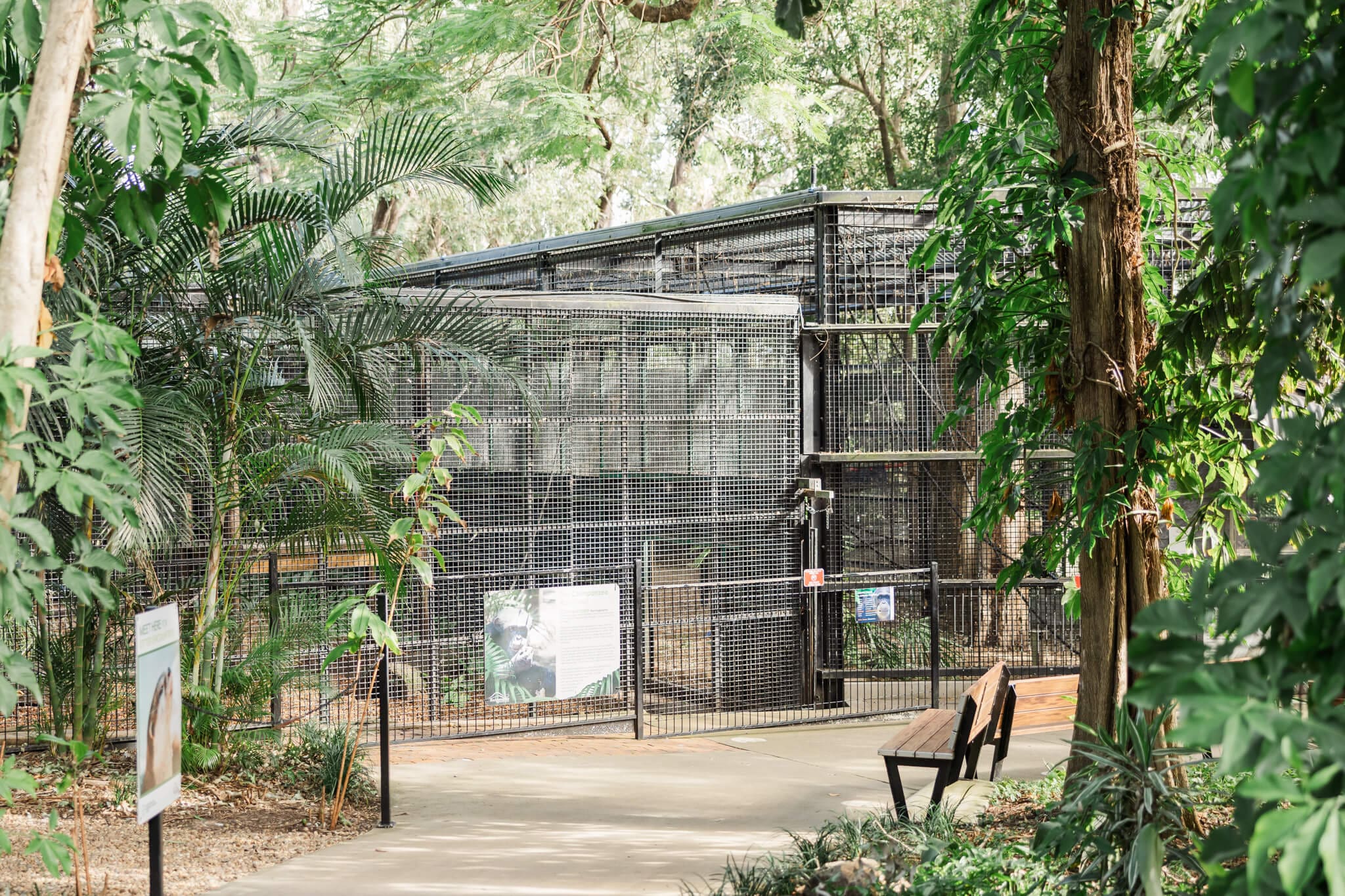 Chimpanzee enclosure at the Rockhampton Zoo.