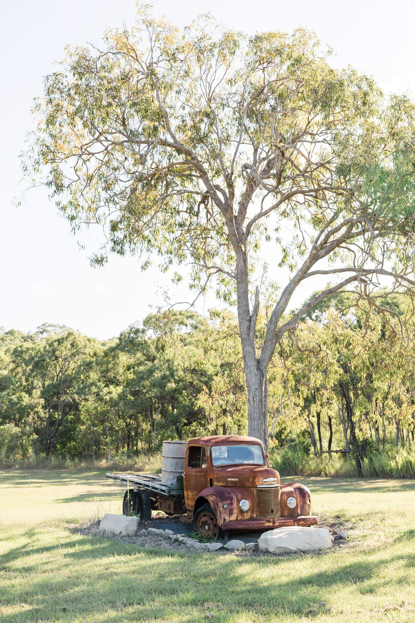 Old rusty Bedford truck parked under a tree, located on a lime farm that doubles as a wedding venue, located at Emu Park Queensland.