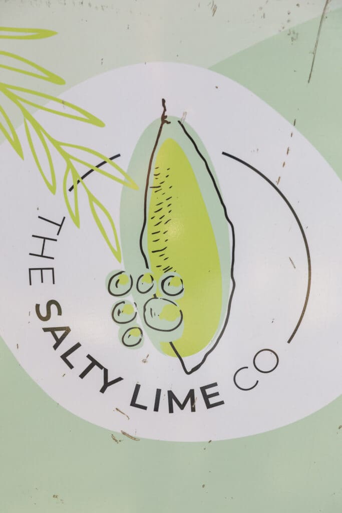 The Salty Lime Co logo.