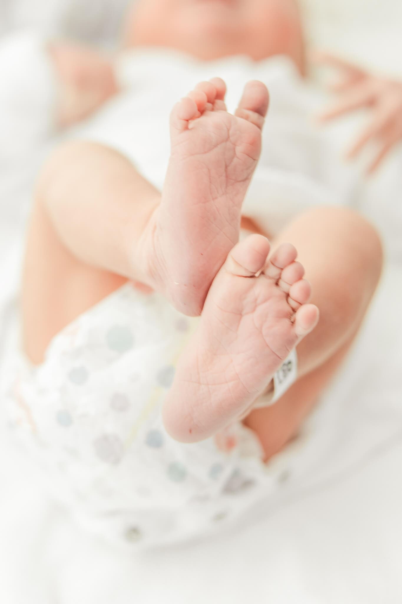 Detail photo of newborn's cute little feet.