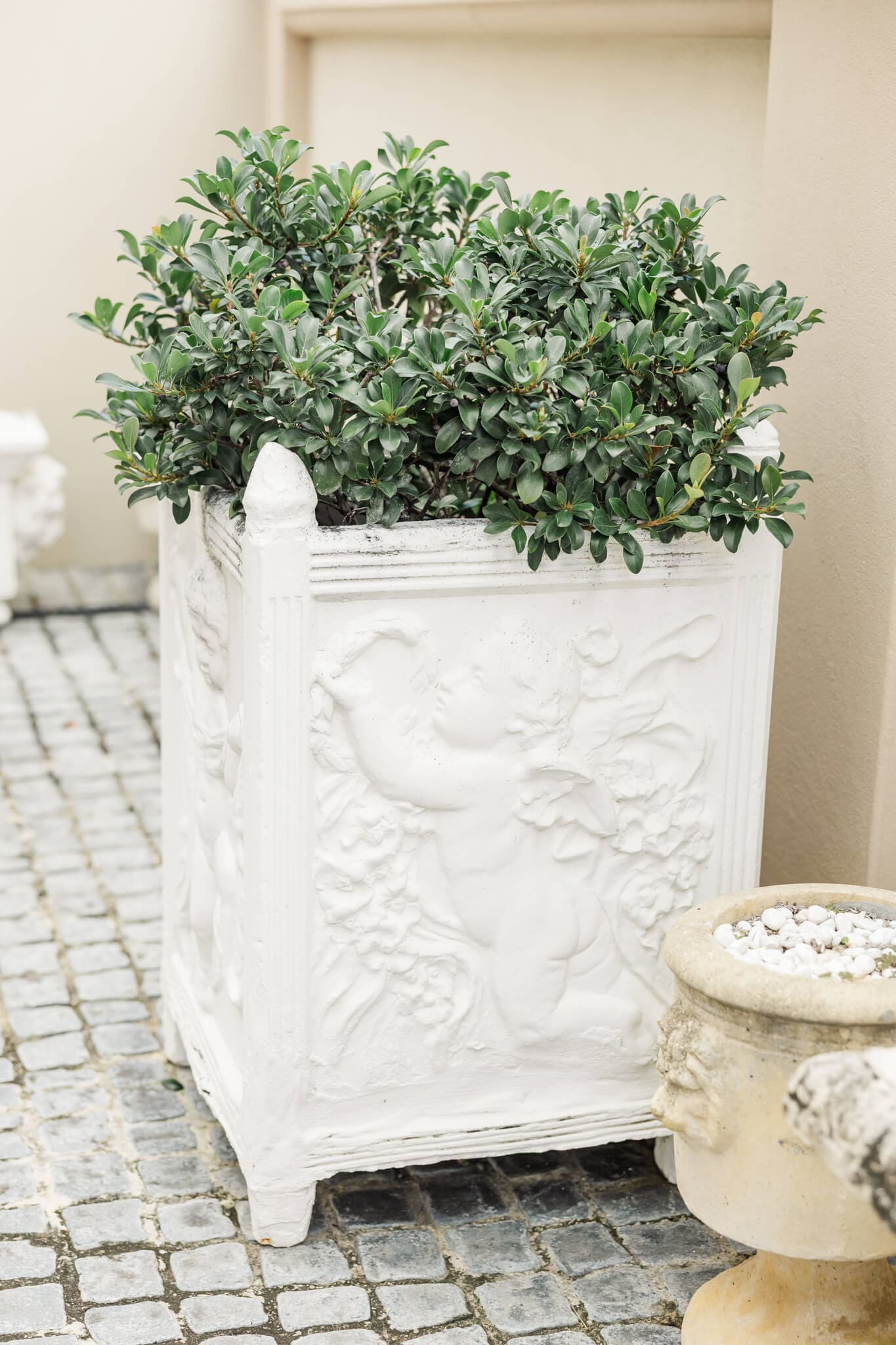 Decorative Pot outside a wedding venue called Riviera Yeppoon.