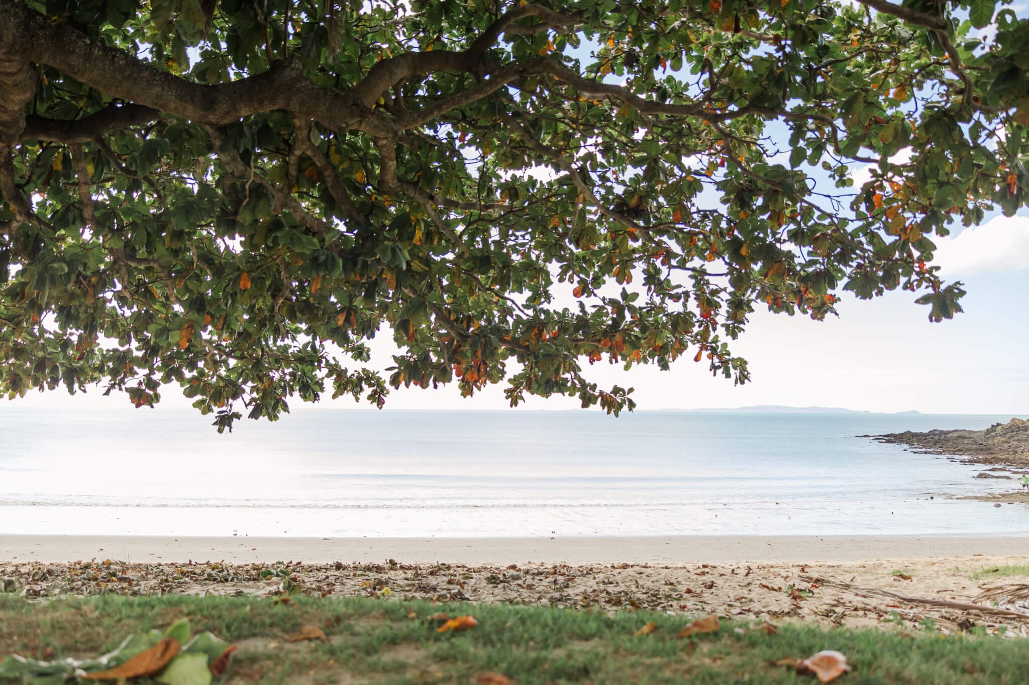 Stunning ocean views looking out over Cooee Bay, Queensland.