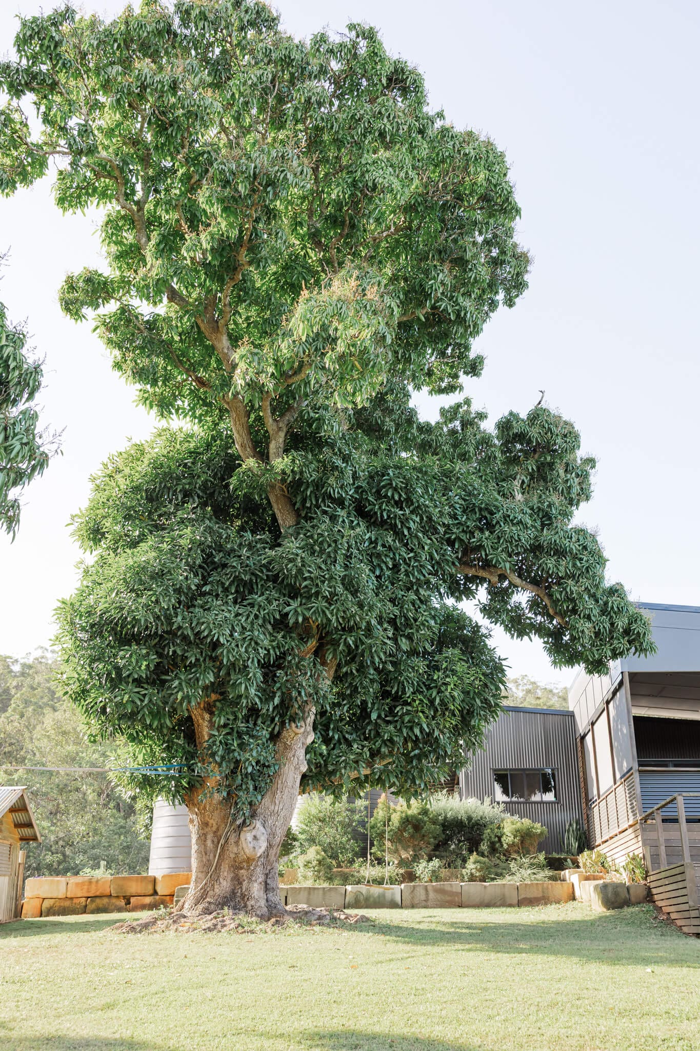 The Orchard Yeppoon, a photogenic wedding venue, situated near Yeppoon. 