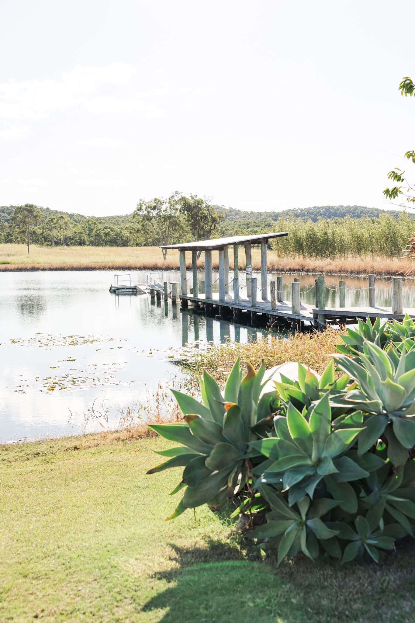 The gorgeous jetty over the lake at The Salty Lime Co., a Yeppoon wedding venue.