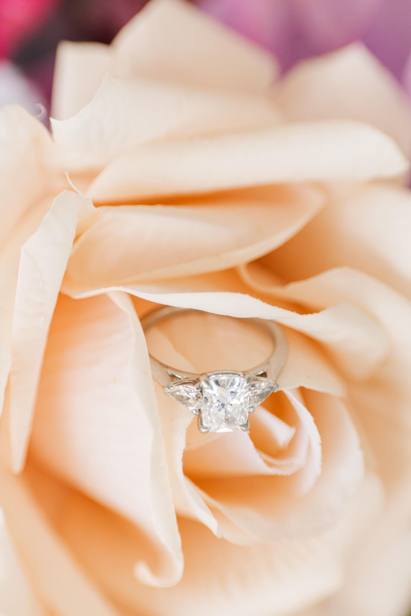 Detail shot of bride's engagement ring on an apricot rose. Captured by Yeppoon wedding photographer, Julie-Anne Photography.