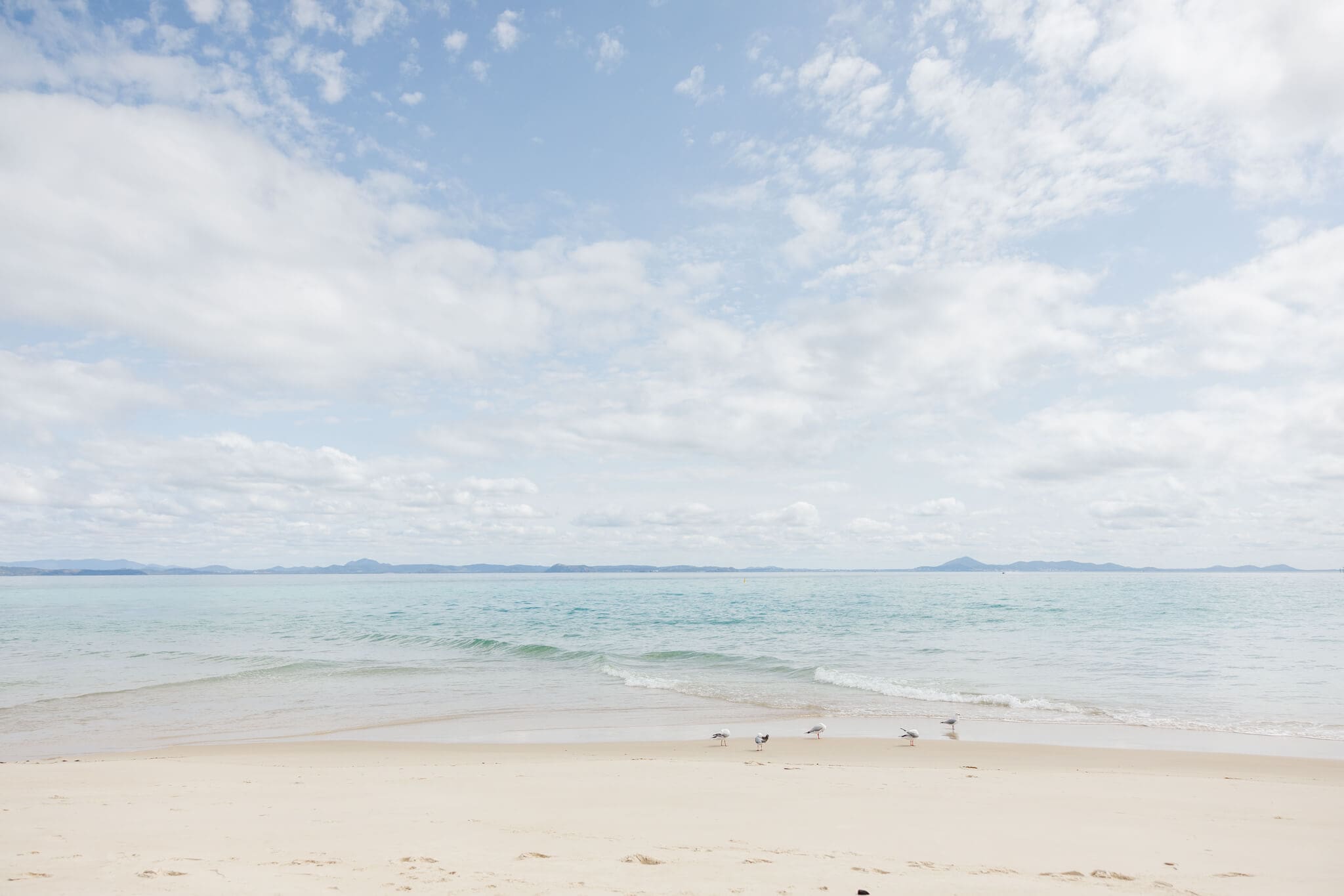 The beautiful ocean views on Great Keppel Island. Aqua blue ocean, white sand and seagulls on the shoreline.